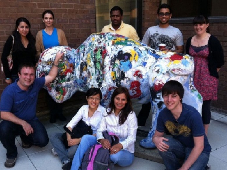 Buffalo: A College Town