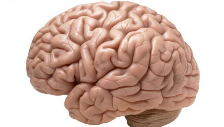 Brain Gain in America’s Shrinking Cities