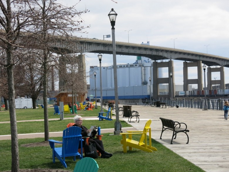 Buffalo Rebirth documented by PBS