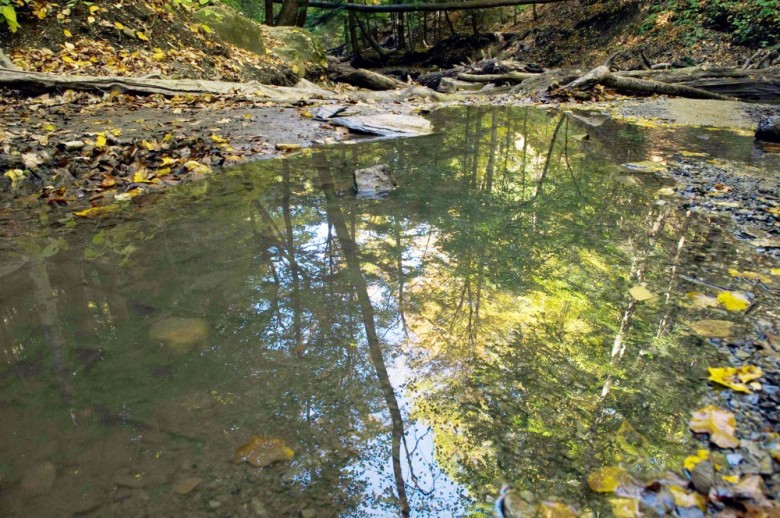 If You’re Not Traveling This Spring Break, Buffalo Has Some Awesome Day Trips