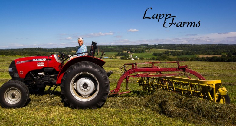 The Diary of an Agro-Tourist: My Time in the Sugar Shack