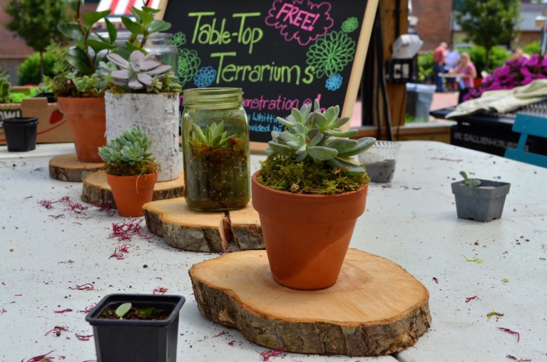 Editor's Picks: Weekly Best Bets in WNY | August 8 - August 14