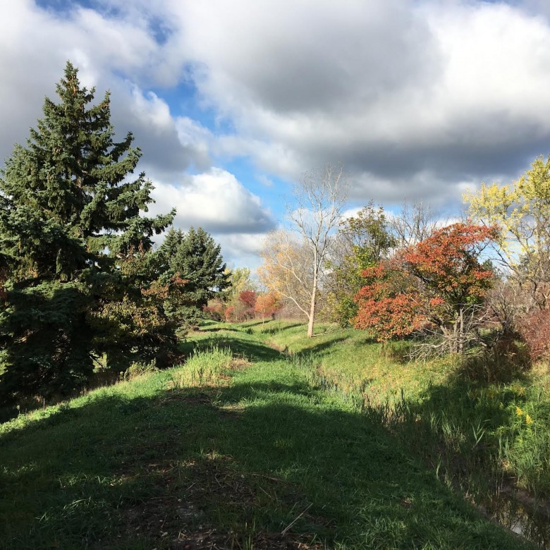 Picture taken with TD-042EDMO and HookUpz 2.0 in Welland, Ontario near the Welland Tunnel.