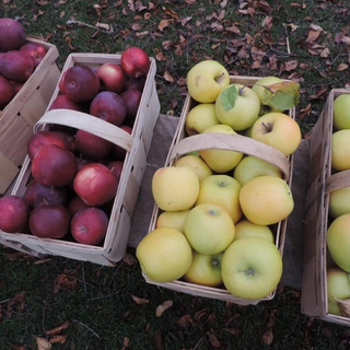 Buffalo Locavore: Eating Local Foods and Loving it.