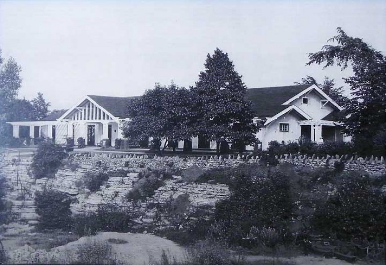 A small section of "the Gully," or the Quarry Garden, in Delaware Park.