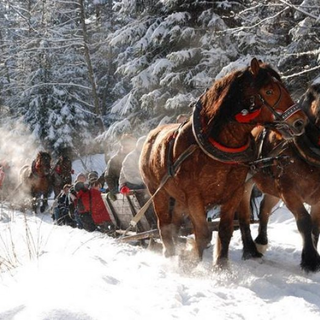 Editor's Picks - This Week's Best Bets | February 15 - 19