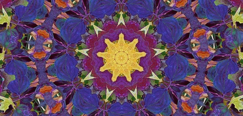 What's Your Dosha, Baby?