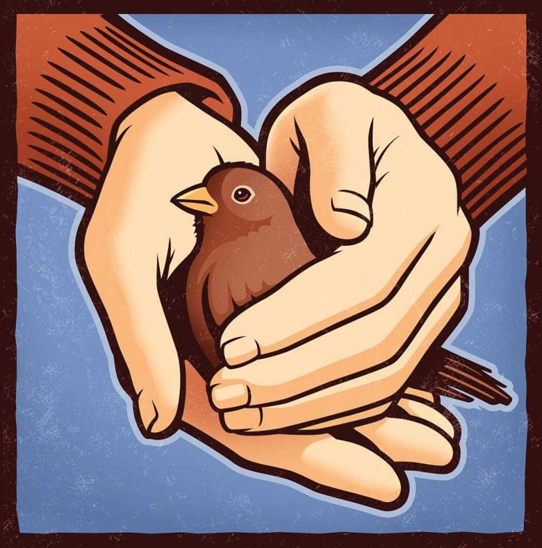 Theater Review: The Seedbed at ICTC