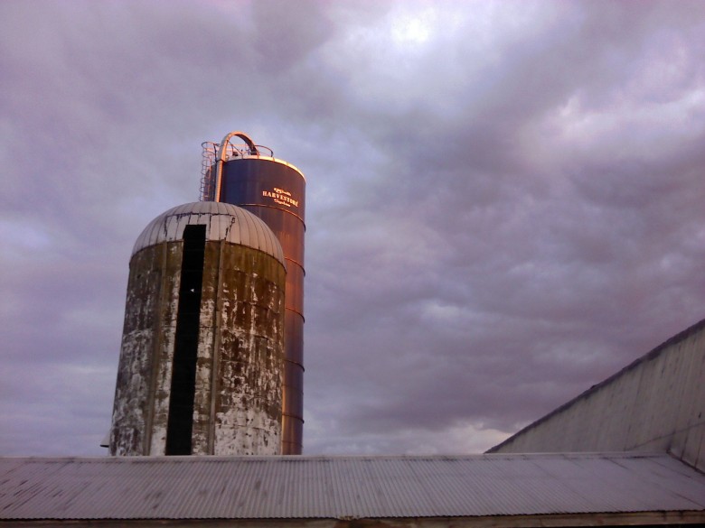 From City to Country – and Back Again