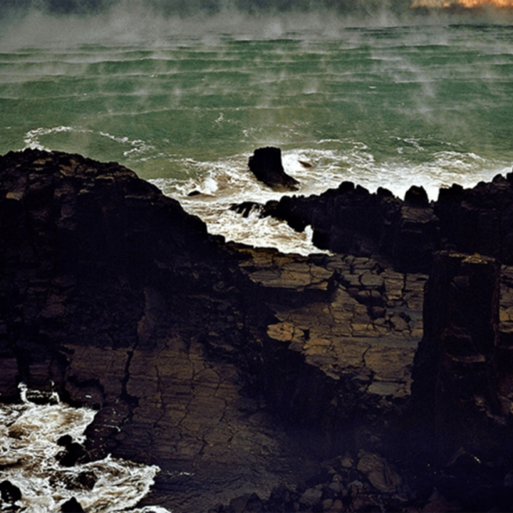 The Troubadour's Companion: A Review of Fleet Foxes' "Crack-Up"