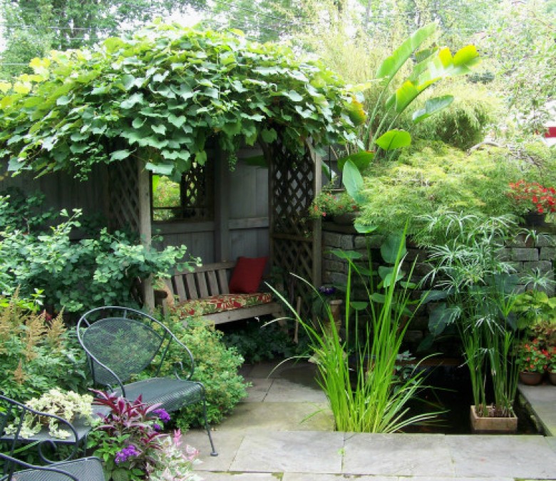 Hundreds of Backyards to Explore