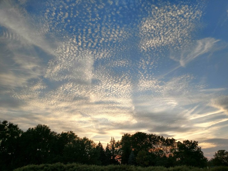 Coping with grief during the holiday season