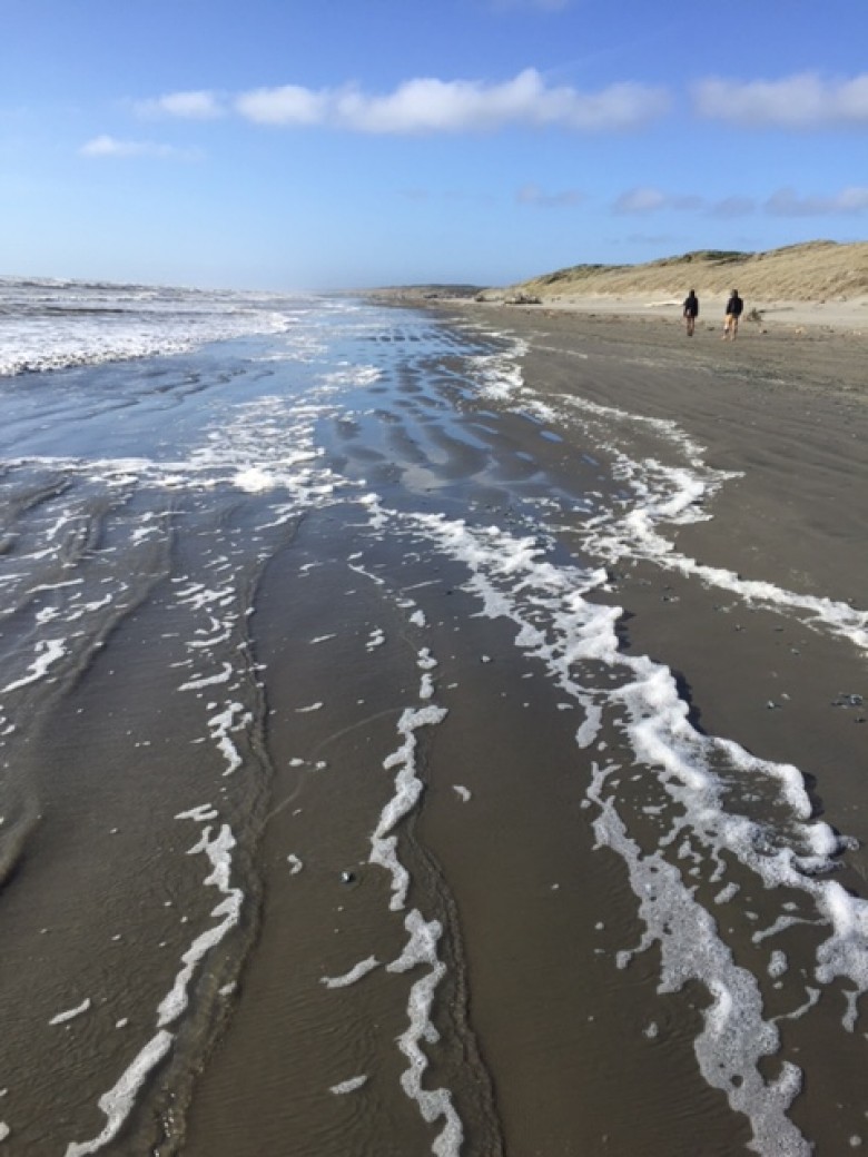 The beach! Exploring the nearby coast in New Zealand, by Starin McKeen