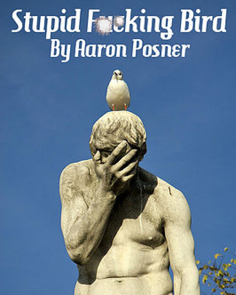 Review:  Stupid F**king Bird