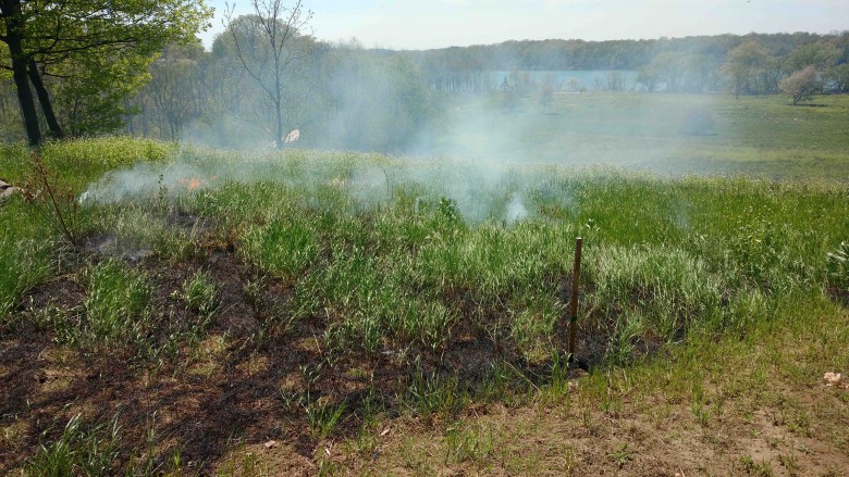 Copyright: © 2018 WARNER BROS. ENTERTAINMENT INC., VILLAGE ROADSHOW FILMS NORTH AMERICA INC. AND RATPAC-DUNE ENTERTAINMENT LLC – U.S., CANADA, BAHAMAS & BERMUDA © 2018 WARNER BROS. ENTERTAINMENT INC., VILLAGE ROADSHOW FILMS (BVI) LIMITED AND RATPAC-DUNE E