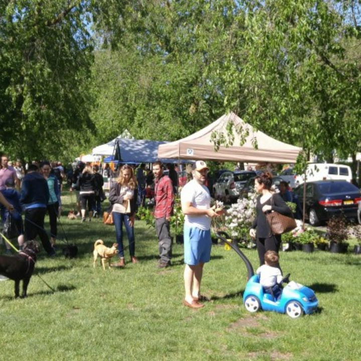 Elmwood Village Farmers Market set to open for 20th season on May 12