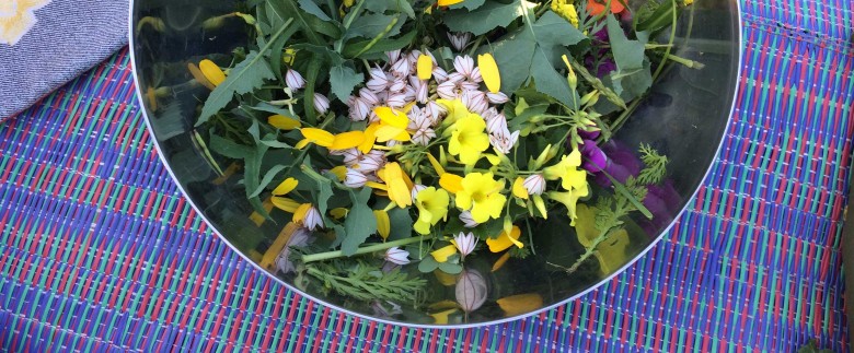 Urban Foraging - Edible wild plants in the city