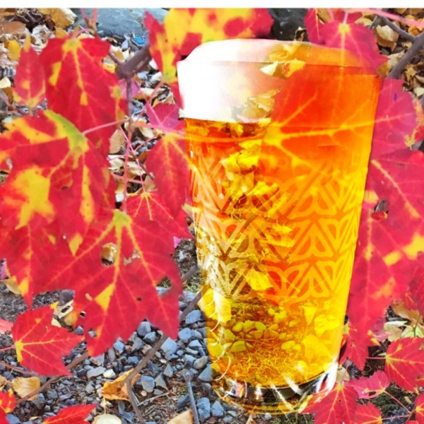 Weekend Road Trip for the Fall