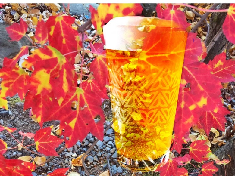 Weekend Road Trip for the Fall