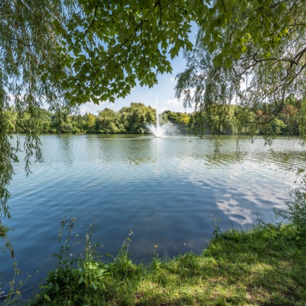 Buffalo's Park System: Hoyt Lake