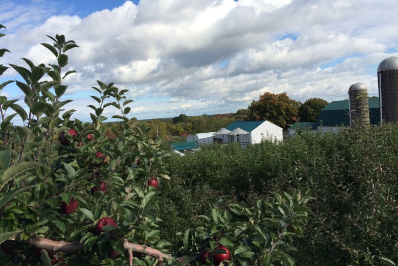 Your Guide to Outdoor Excursions this Fall