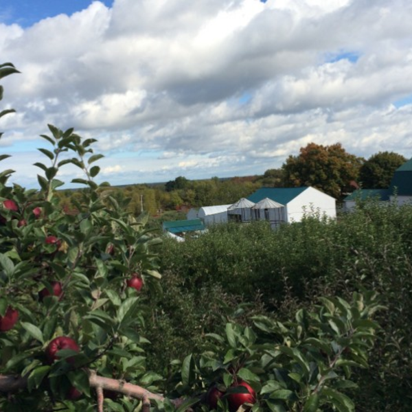 Your Guide to Outdoor Excursions this Fall