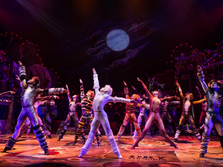 Review:  Cats