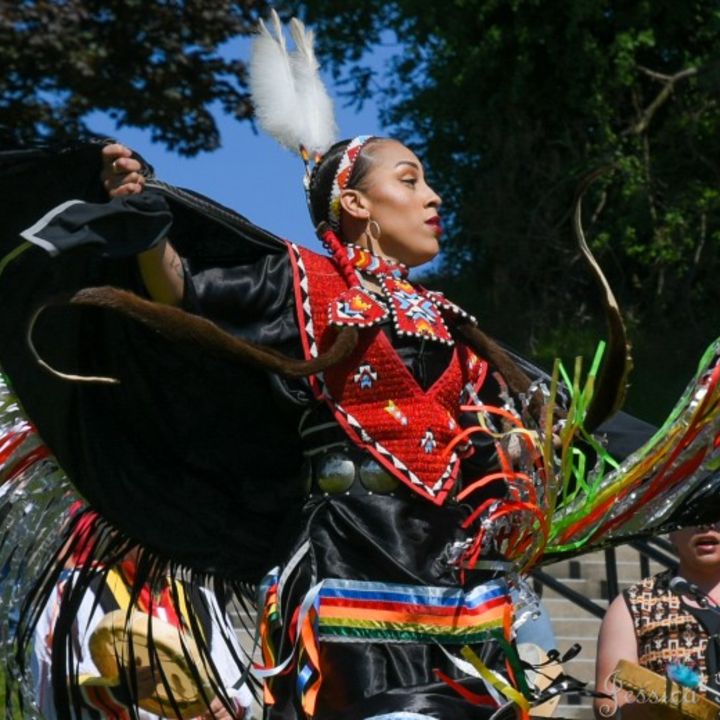 Photo Gallery: The First Strawberry Moon Festival at Artpark