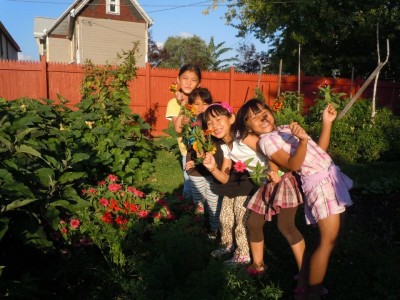 Community reaps rewards of new community garden