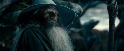 IAN MCKELLEN as Gandalf