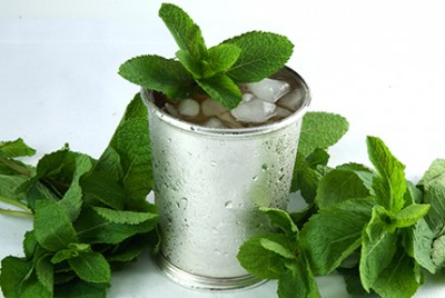 Gear Up for Mint Julep Day!