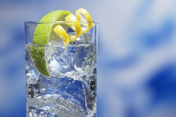 What Your Gin & Tonic Says About You (GinAndTonicJuly.Com Preview)