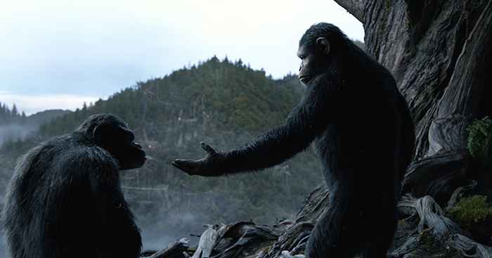 APES Caesar (Andy Serkis) and Koba (Toby Kebbell) reach an understanding. Photo credit: WETA TM and © 2014 Twentieth Century Fox Film Corporation. All Rights Reserved. Not for sale or duplication
