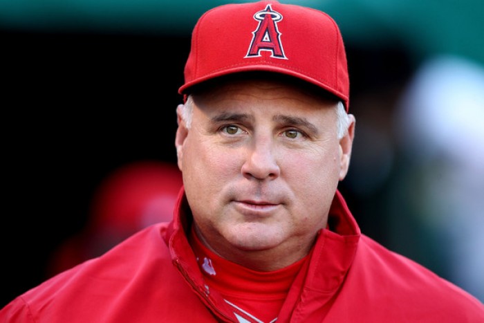 Angels skipper Mike Scioscia