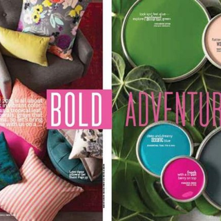 Color Of The Year Inspiration