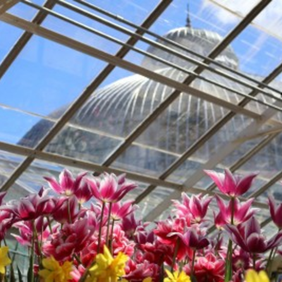 Spring Flower Exhibit at the Botanical Gardens