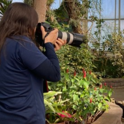 Photography Nights at the Botanical Gardens