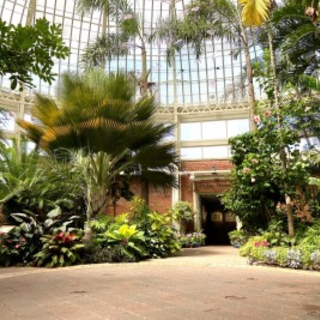 Sensory Hour at the Botanical Gardens