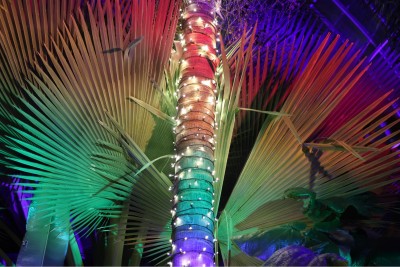 Love is Love Night at the Botanical Gardens