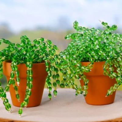 Sip and Craft: Beaded Plants at the Botanical Gardens