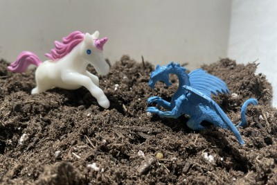 Mythical Terrariums: Kids Workshop at the Botanical Gardens