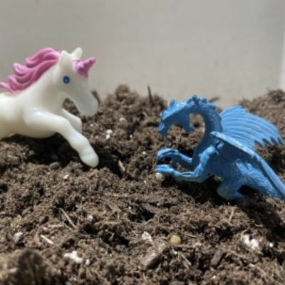 Mythical Terrariums: Kids Workshop at the Botanical Gardens