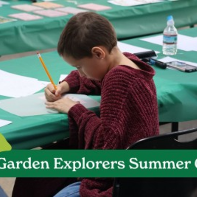 Garden Explorers Summer Camp: Art of the Summertime