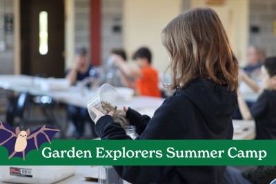 Garden Explorers Summer Camp: Bees, Bats, and Butterflies