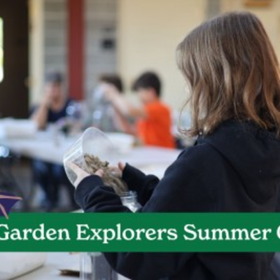 Garden Explorers Summer Camp: Bees, Bats, and Butterflies