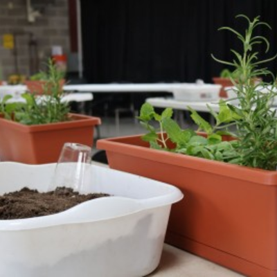 Herb Container Garden Workshop at the Botanical Gardens