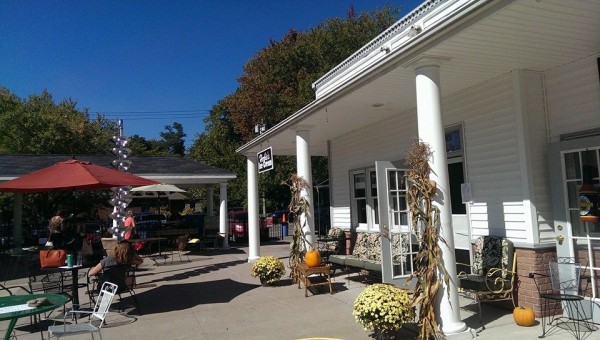 Grandpaws Cafe For Good