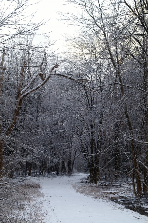 Reinstein Woods Environmental Education Center