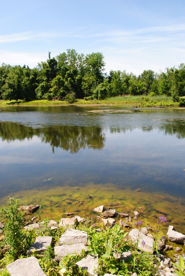 Reinstein Woods Environmental Education Center