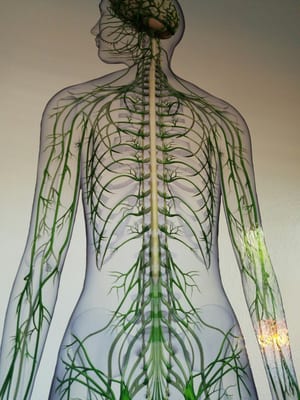 Lackawanna Chiropractic